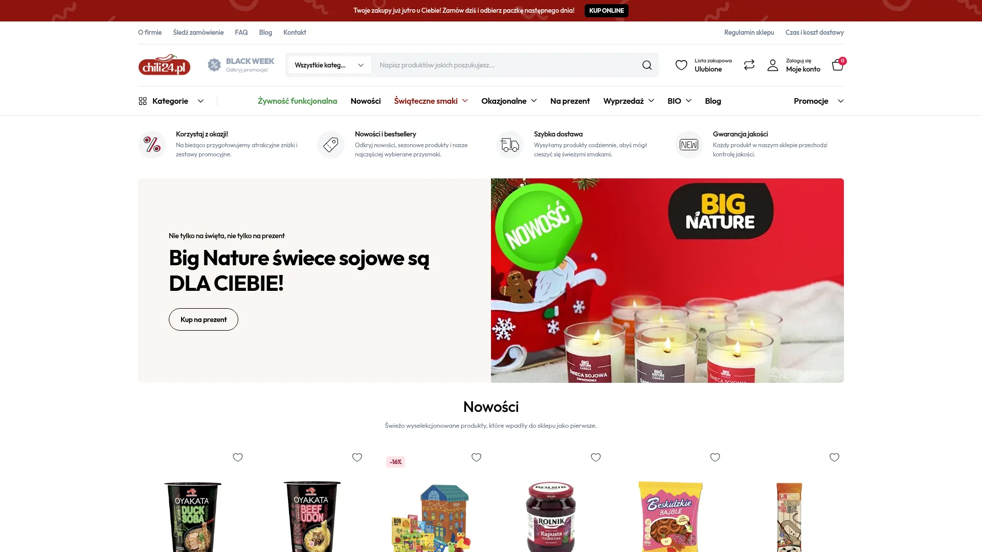 Zrzut ekranu strony firmy