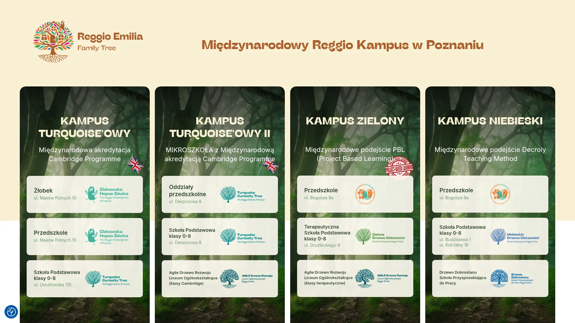 Zrzut ekranu strony firmy
