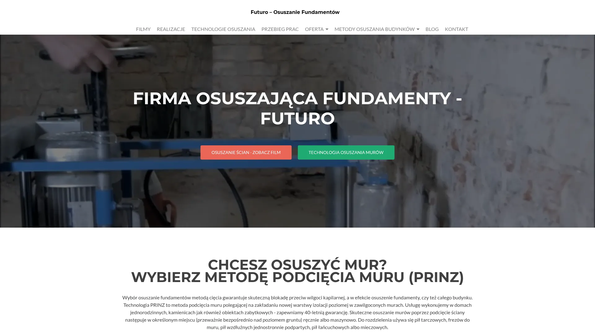 Zrzut ekranu strony firmy